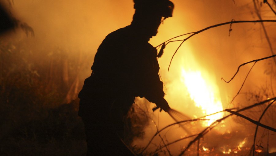 Brigadistas Conaf de Angol amenazan con paralización en plena emergencia de incendios forestales